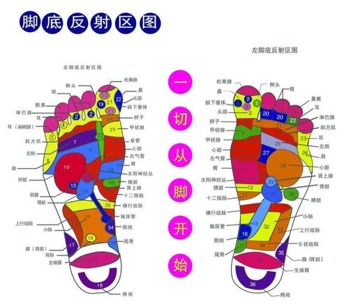 足疗 养生之道